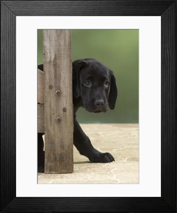 Framed Print : Picture No. 12010360 Framed Print : Picture No. 12010360