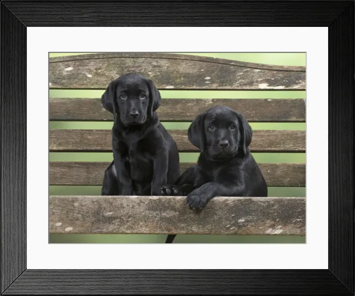 Framed Print : Picture No. 12010362 Framed Print : Picture No. 12010362