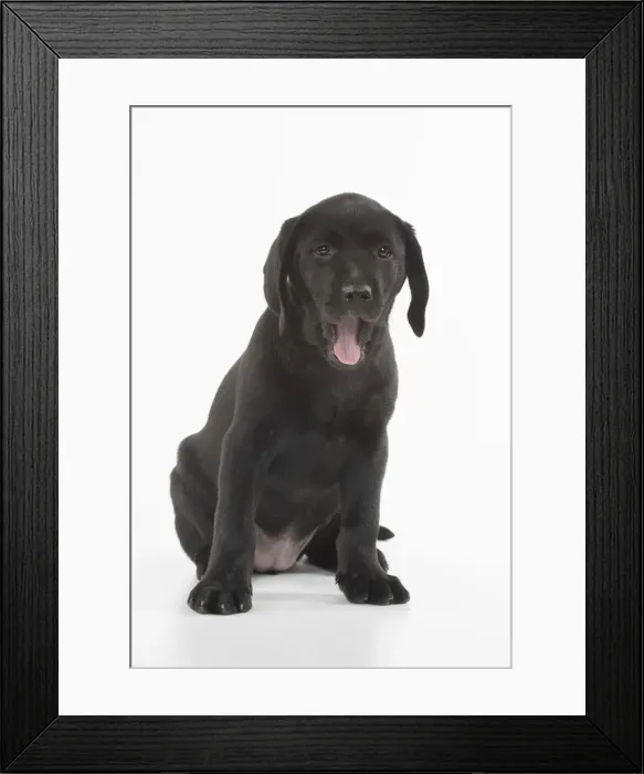 Framed Print : Picture No. 12010369 Framed Print : Picture No. 12010369
