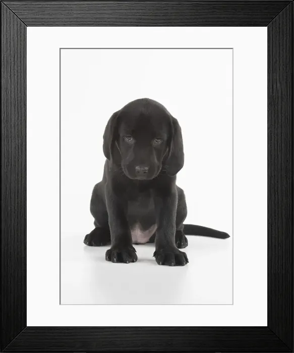 Framed Print : Picture No. 12010370 Framed Print : Picture No. 12010370