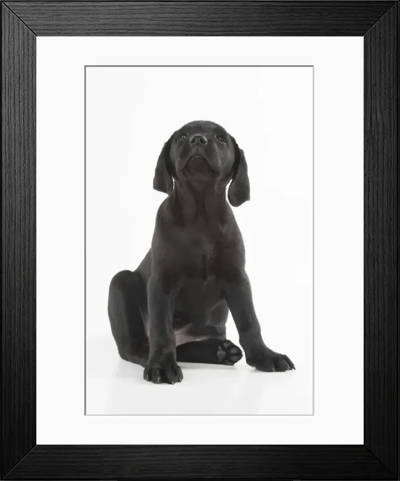 Framed Print : Picture No. 12010372 Framed Print : Picture No. 12010372