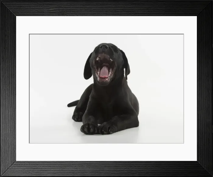 Framed Print : Picture No. 12010379 Framed Print : Picture No. 12010379
