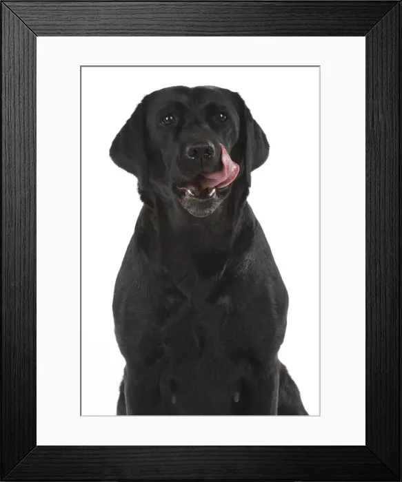 Framed Print : Picture No. 12010391 Framed Print : Picture No. 12010391