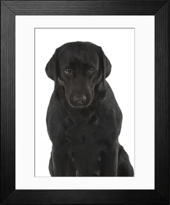 Framed Print : Picture No. 12010392 Framed Print : Picture No. 12010392