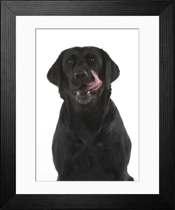 Framed Print : Picture No. 12010393 Framed Print : Picture No. 12010393