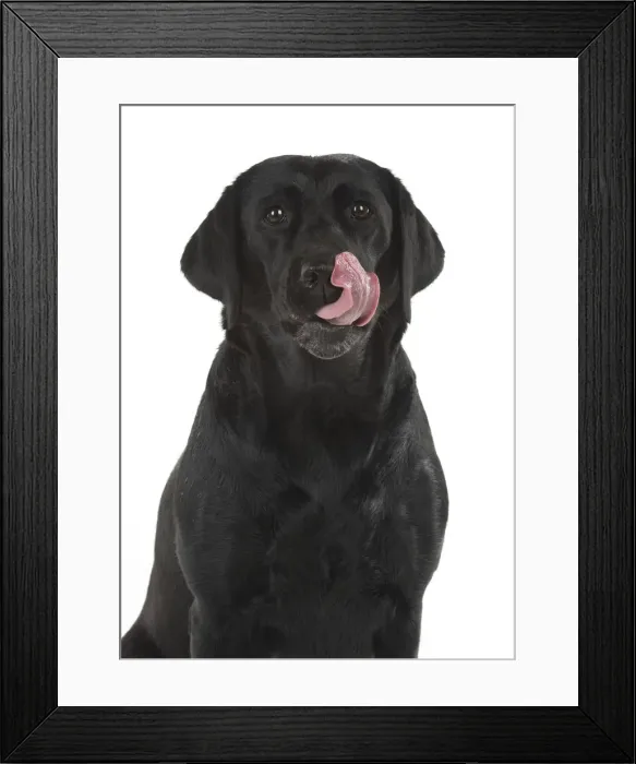 Framed Print : Picture No. 12010394 Framed Print : Picture No. 12010394