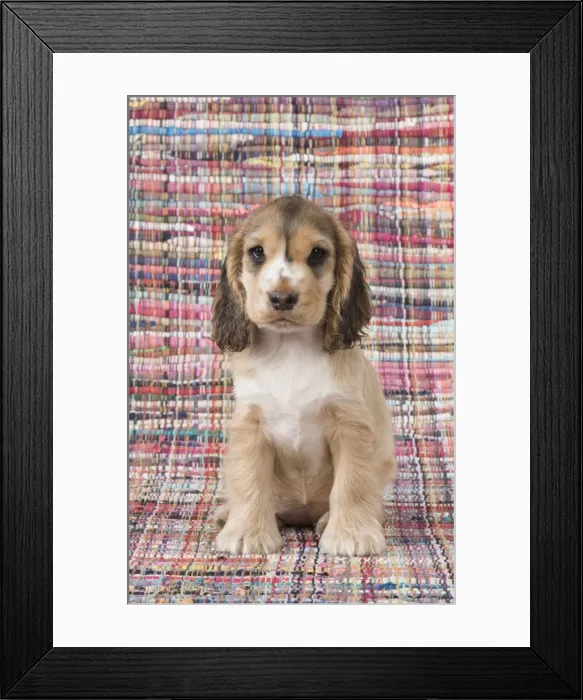 Framed Print : Picture No. 12010588 Framed Print : Picture No. 12010588