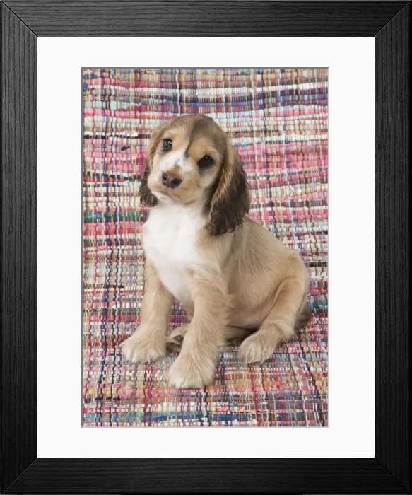 Framed Print : Picture No. 12010590 Framed Print : Picture No. 12010590