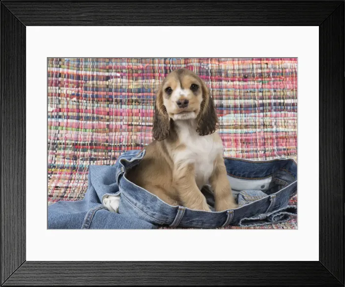 Framed Print : Picture No. 12010591 Framed Print : Picture No. 12010591