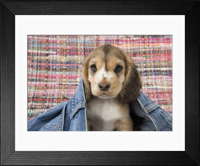 Framed Print : Picture No. 12010593 Framed Print : Picture No. 12010593