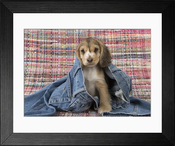 Framed Print : Picture No. 12010592 Framed Print : Picture No. 12010592