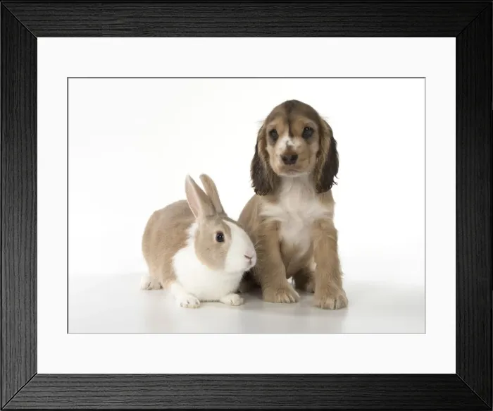 Framed Print : Picture No. 12010595 Framed Print : Picture No. 12010595