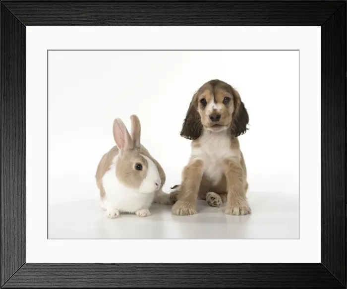 Framed Print : Picture No. 12010596 Framed Print : Picture No. 12010596