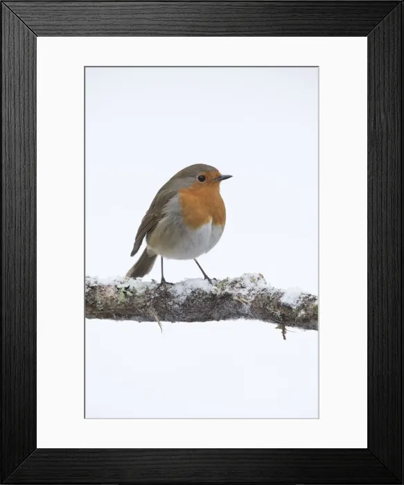 Framed Print : Picture No. 12010619 Framed Print : Picture No. 12010619
