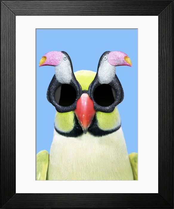 Framed Print : Picture No. 12010833