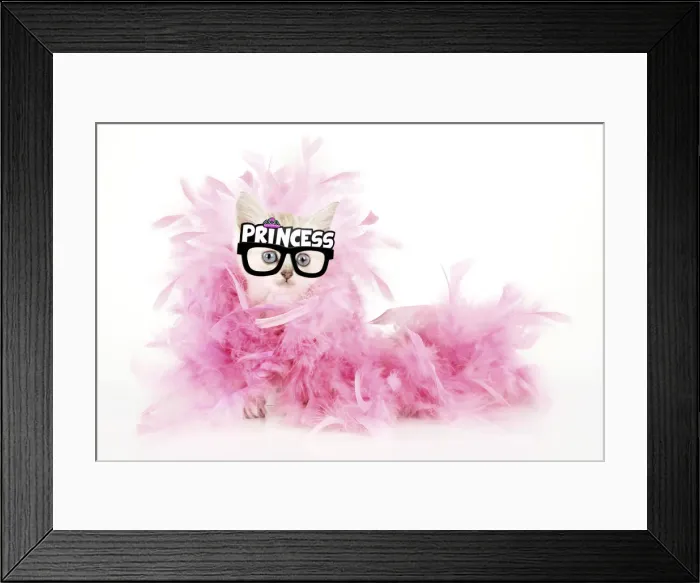 Framed Print : Picture No. 12010835 Framed Print : Picture No. 12010835
