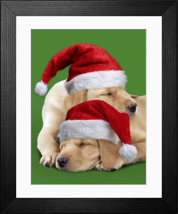 Framed Print : Picture No. 12010841 Framed Print : Picture No. 12010841