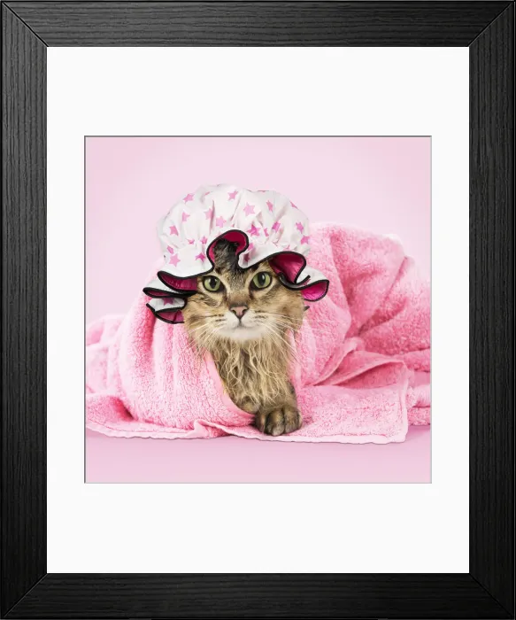 Framed Print : Picture No. 12010846 Framed Print : Picture No. 12010846