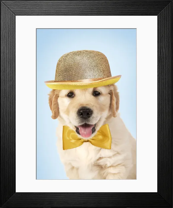 Framed Print : Picture No. 12010847 Framed Print : Picture No. 12010847