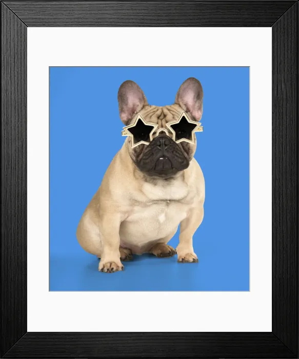 Framed Print : Picture No. 12010848 Framed Print : Picture No. 12010848