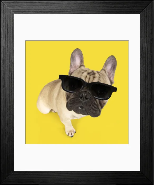 Framed Print : Picture No. 12010851 Framed Print : Picture No. 12010851