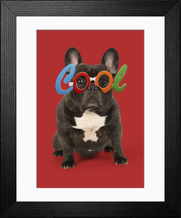 Framed Print : Picture No. 12010852 Framed Print : Picture No. 12010852