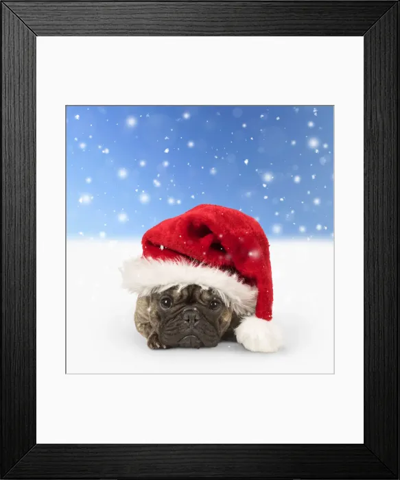 Framed Print : Picture No. 12010853 Framed Print : Picture No. 12010853