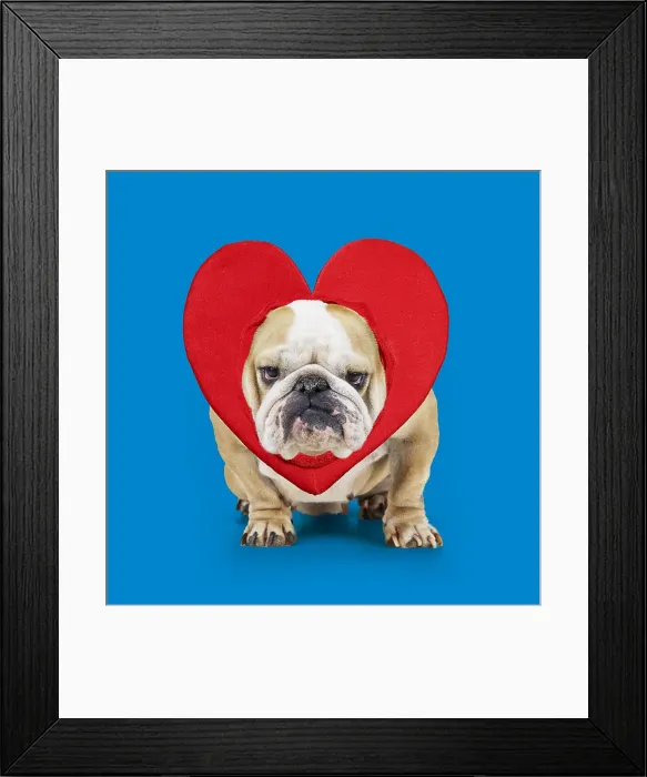 Framed Print : Picture No. 12010855 Framed Print : Picture No. 12010855
