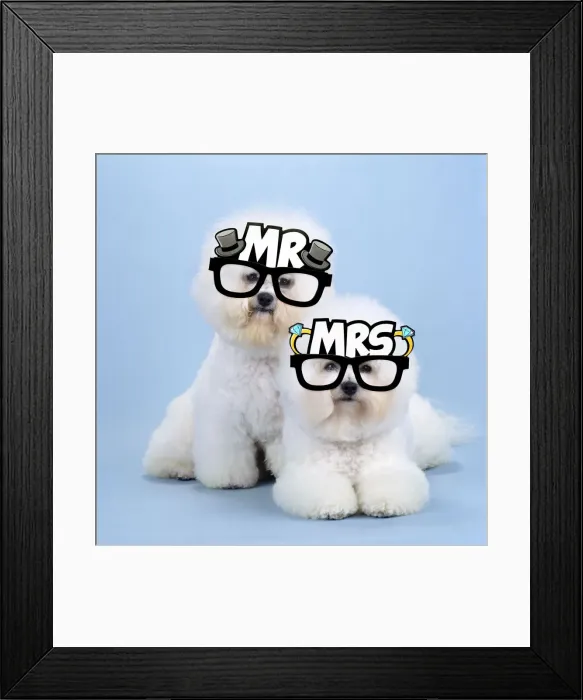 Framed Print : Picture No. 12010857 Framed Print : Picture No. 12010857
