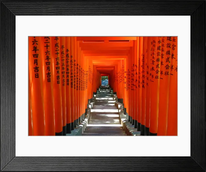 Framed Print : Picture No. 12009433 Framed Print : Picture No. 12009433
