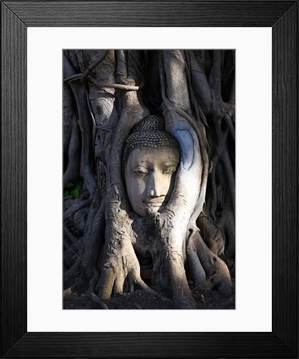 Framed Print : Picture No. 12009436 Framed Print : Picture No. 12009436