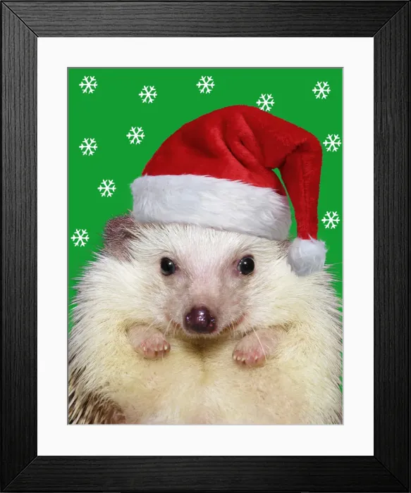 Framed Print : Picture No. 12010884 Framed Print : Picture No. 12010884