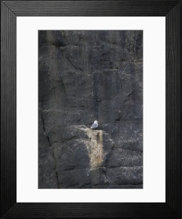 Framed Print : Picture No. 12009522 Framed Print : Picture No. 12009522