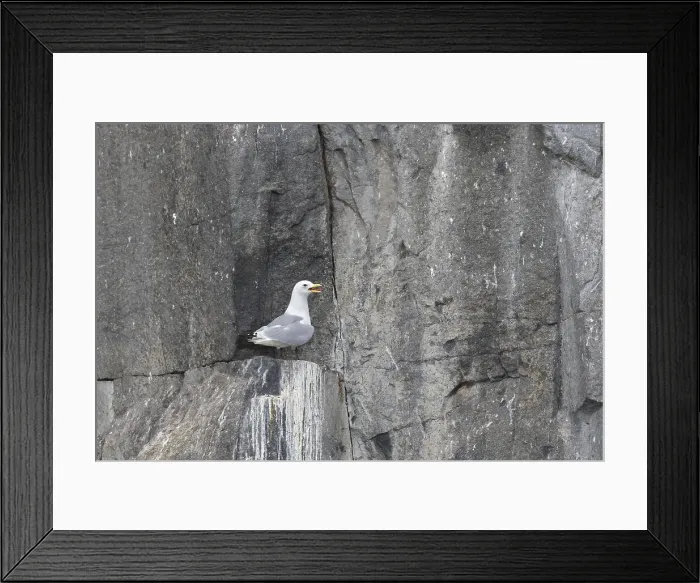 Framed Print : Picture No. 12009524 Framed Print : Picture No. 12009524