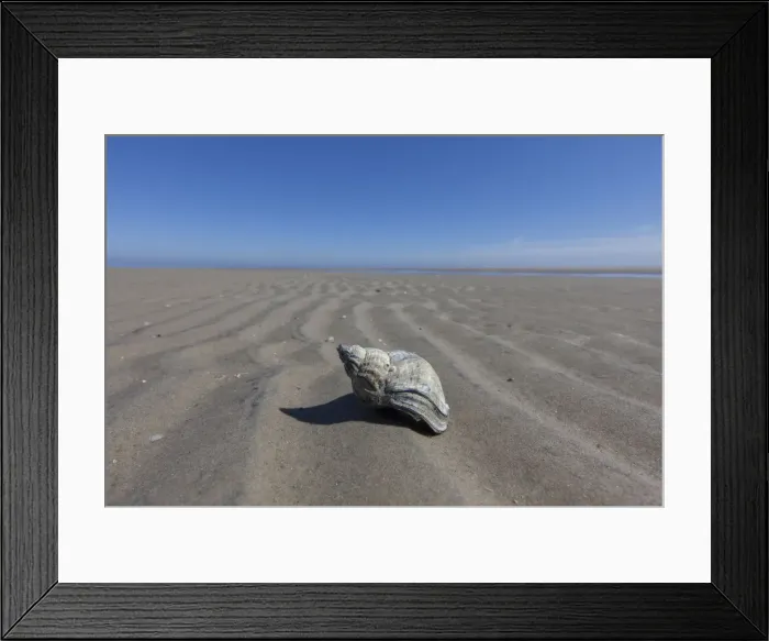 Framed Print : Picture No. 12009534 Framed Print : Picture No. 12009534