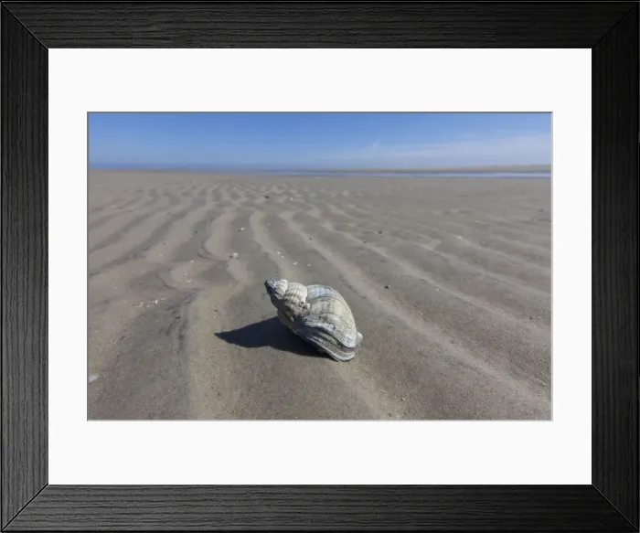 Framed Print : Picture No. 12009535 Framed Print : Picture No. 12009535