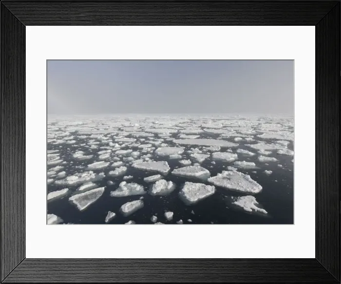 Framed Print : Picture No. 12009537 Framed Print : Picture No. 12009537