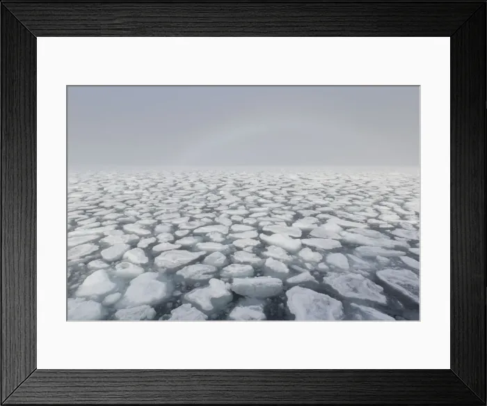 Framed Print : Picture No. 12009539 Framed Print : Picture No. 12009539