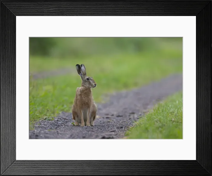 Framed Print : Picture No. 12009548 Framed Print : Picture No. 12009548