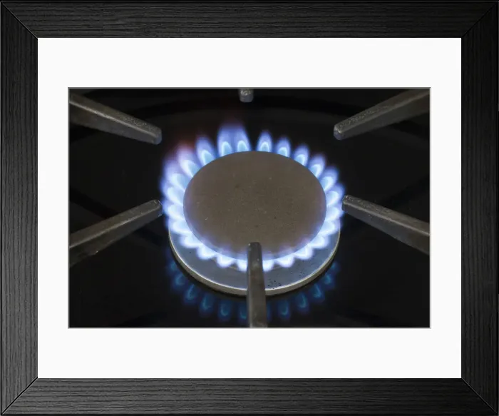 Framed Print : Picture No. 12009562 Framed Print : Picture No. 12009562