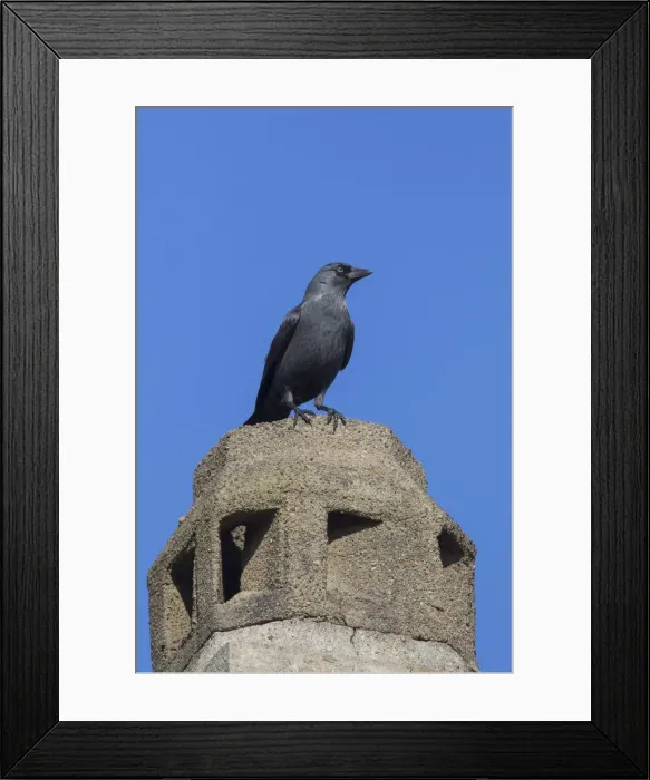 Framed Print : Picture No. 12009576 Framed Print : Picture No. 12009576