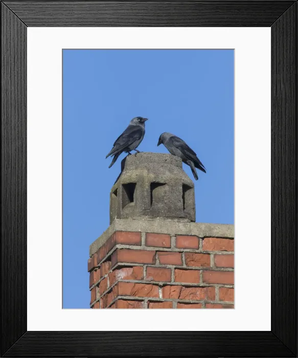 Framed Print : Picture No. 12009577 Framed Print : Picture No. 12009577