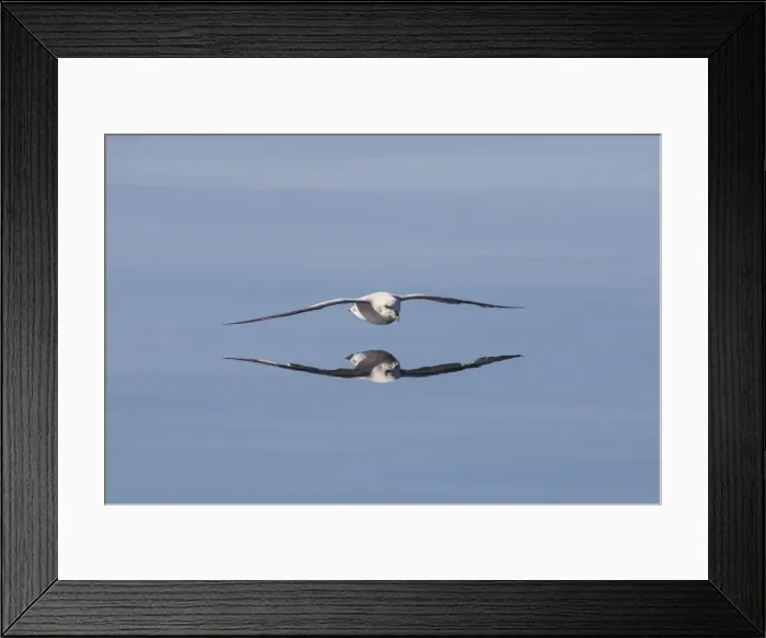 Framed Print : Picture No. 12009605 Framed Print : Picture No. 12009605