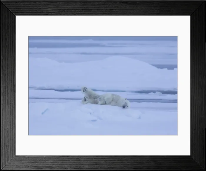 Framed Print : Picture No. 12009608 Framed Print : Picture No. 12009608