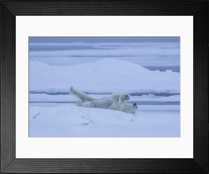 Framed Print : Picture No. 12009609