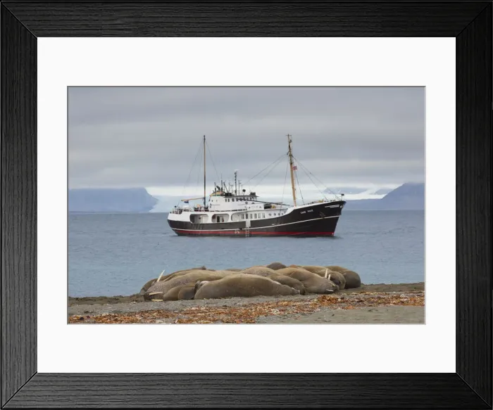 Framed Print : Picture No. 12009620 Framed Print : Picture No. 12009620
