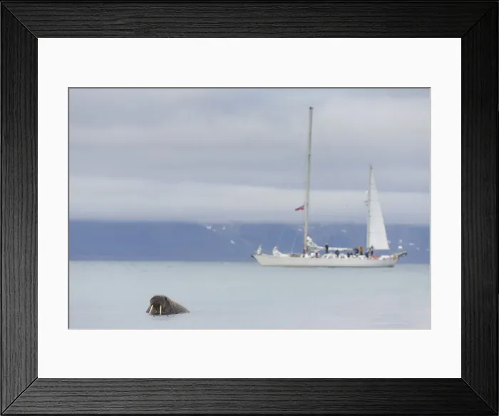 Framed Print : Picture No. 12009621 Framed Print : Picture No. 12009621