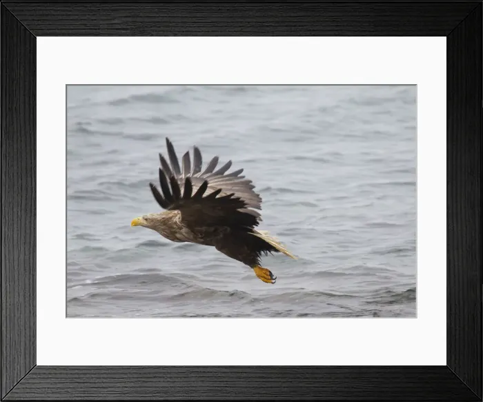 Framed Print : Picture No. 12009622 Framed Print : Picture No. 12009622