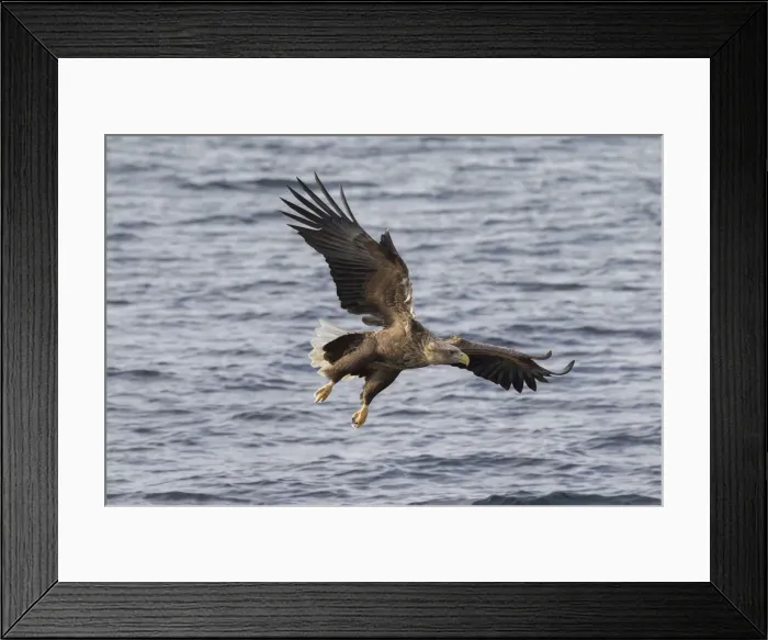 Framed Print : Picture No. 12009623 Framed Print : Picture No. 12009623