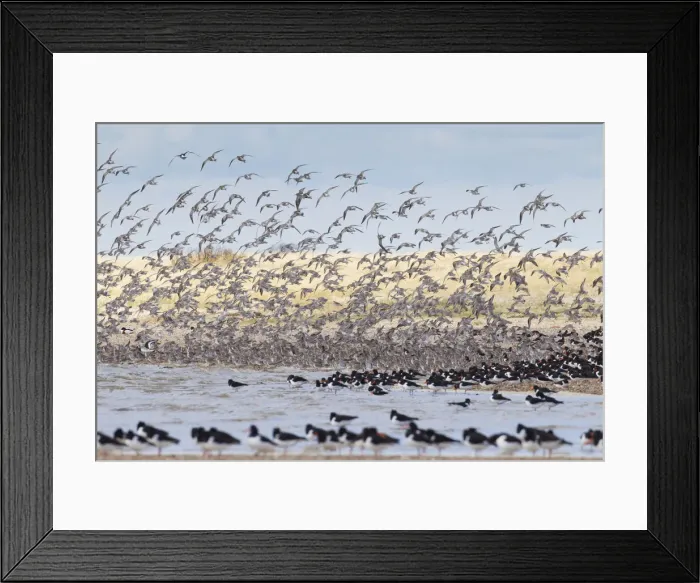 Framed Print : Picture No. 12010401 Framed Print : Picture No. 12010401